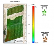 طريقة استخراج مؤشر الغطاء النباتي NDVI